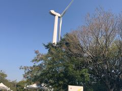 -南丫岛