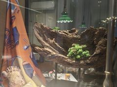 -开海·红岛海鲜虾水饺(石老人店)