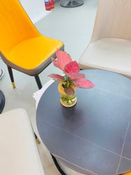 -时尚殿堂hair salon