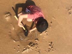 -日照海滨国家森林公园
