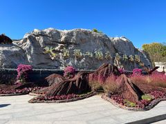 -北京西山国家森林公园