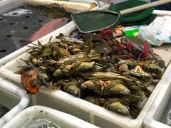 -海儀美食楼(湾仔海鲜街店)