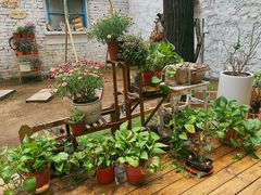 -0907餐厅(核桃园店)