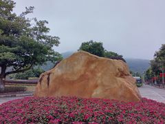 -风云岭森林公园