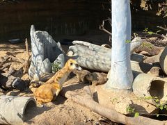 -泉州海丝野生动物世界