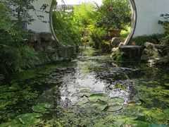 -上海醉白池公园