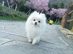 -铜锣山矿山公园