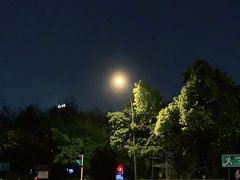 -望江楼公园