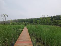 -东郊湿地公园