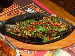铁板鲫鱼-寂寞的豆芽(西大望南路店)