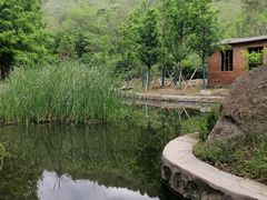 -白水寺森林公园