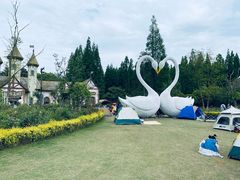 -东平国家森林公园