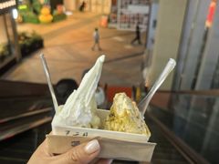 -野人先生现做冰淇淋(北京顺义祥云小镇店)