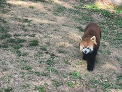 -上海野生动物园