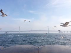 -星海湾跨海大桥