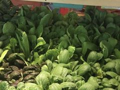 -小牛海记潮汕牛肉店(永定路店)