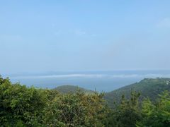-怪坡茶馆