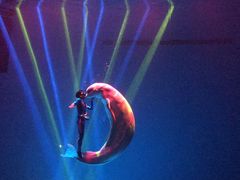 -芜湖新华联大白鲸海洋公园