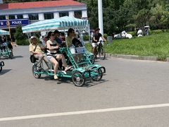 -日照海滨国家森林公园