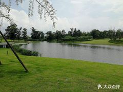 -两河城市森林公园