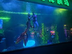 -聊城海底世界
