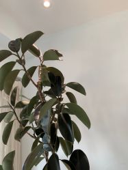 -HEYAN长风荷妍专业脱毛美肤
