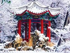 -故宫博物院(故宫)