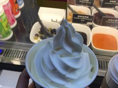 -JW德国冻酸奶Frozen Yogurt(龙湖成都滨江天街店)