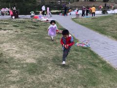 -两河城市森林公园