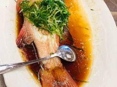 -新世纪大酒楼·30年南海菜