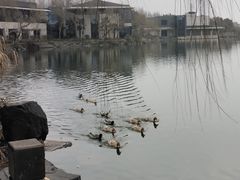 -上海怡沁园度假酒店