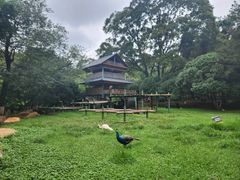 -昆明动物园