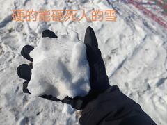 -呼兰河口湿地公园