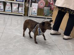 -瑞鹏宠物医院·超声·骨科·奇麟分院(蜀都万达店)