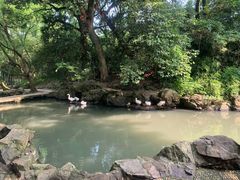-兰亭风景区