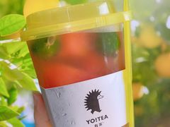 -YO!TEA有茶(科兴科学园店)
