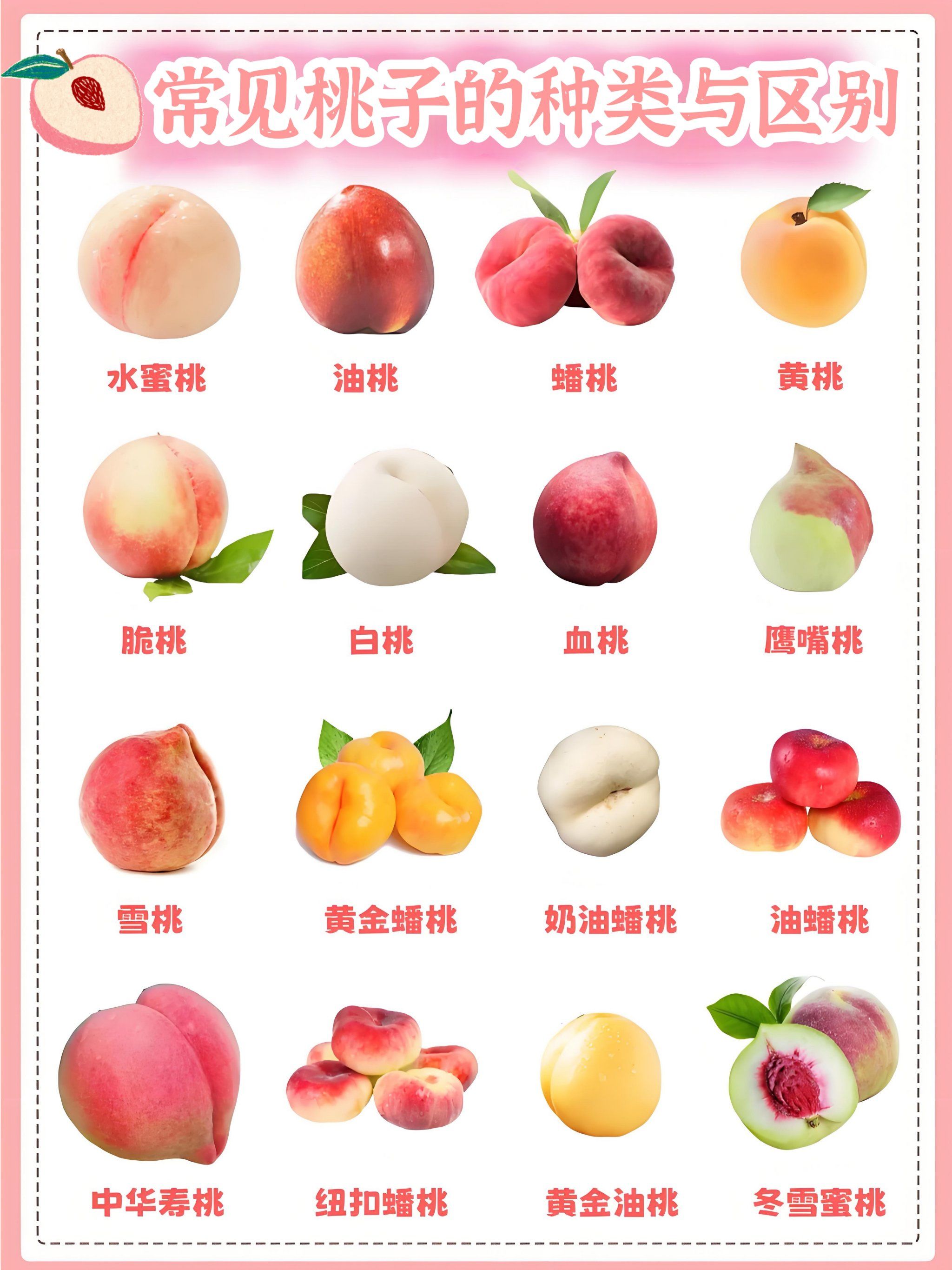 宝子们,今天本笔记就为喜欢吃桃子的友友们总结不同桃子的品种 产地