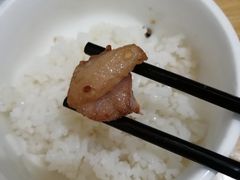 -东吴霸王兔(松青路店)