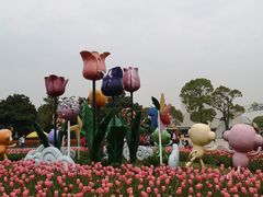 -上海鲜花港