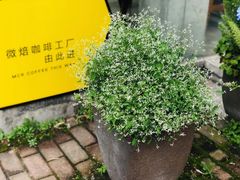 -微焙咖啡工厂(海峡创意产业园·红坊店)