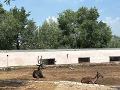 -青藏高原野生动物园