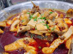 -一撮毛美食城(全力一路店)