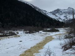 -黄龙山原始森林景区