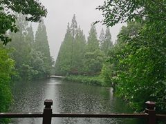 -东平国家森林公园
