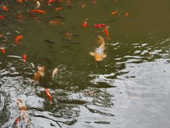 -天津盘山风景名胜区