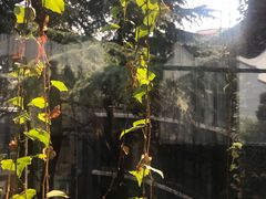 -福田家月子中心 产后 月嫂(市立母子医院店)