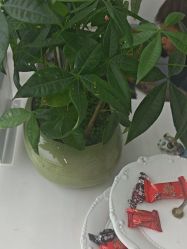 -LJOY丽锦造型·烫发染发