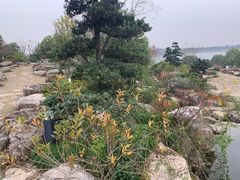 -桐乡凤凰湖