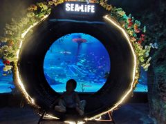 -沈阳海洋探索中心