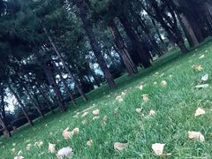 -北京宽沟会议中心